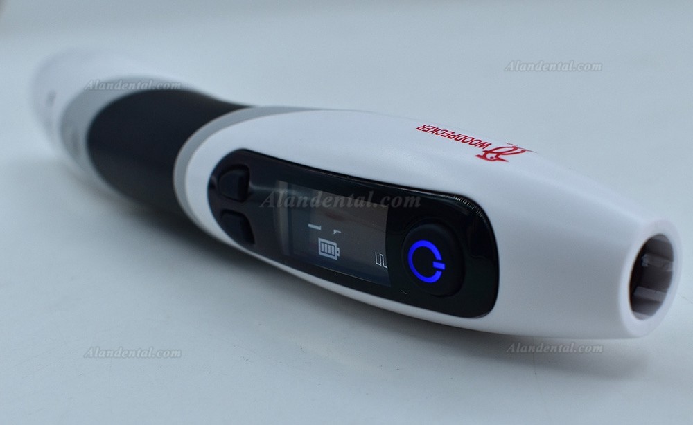 Woodpecker B-Cure Curing Light with 2 Batteries and Charger